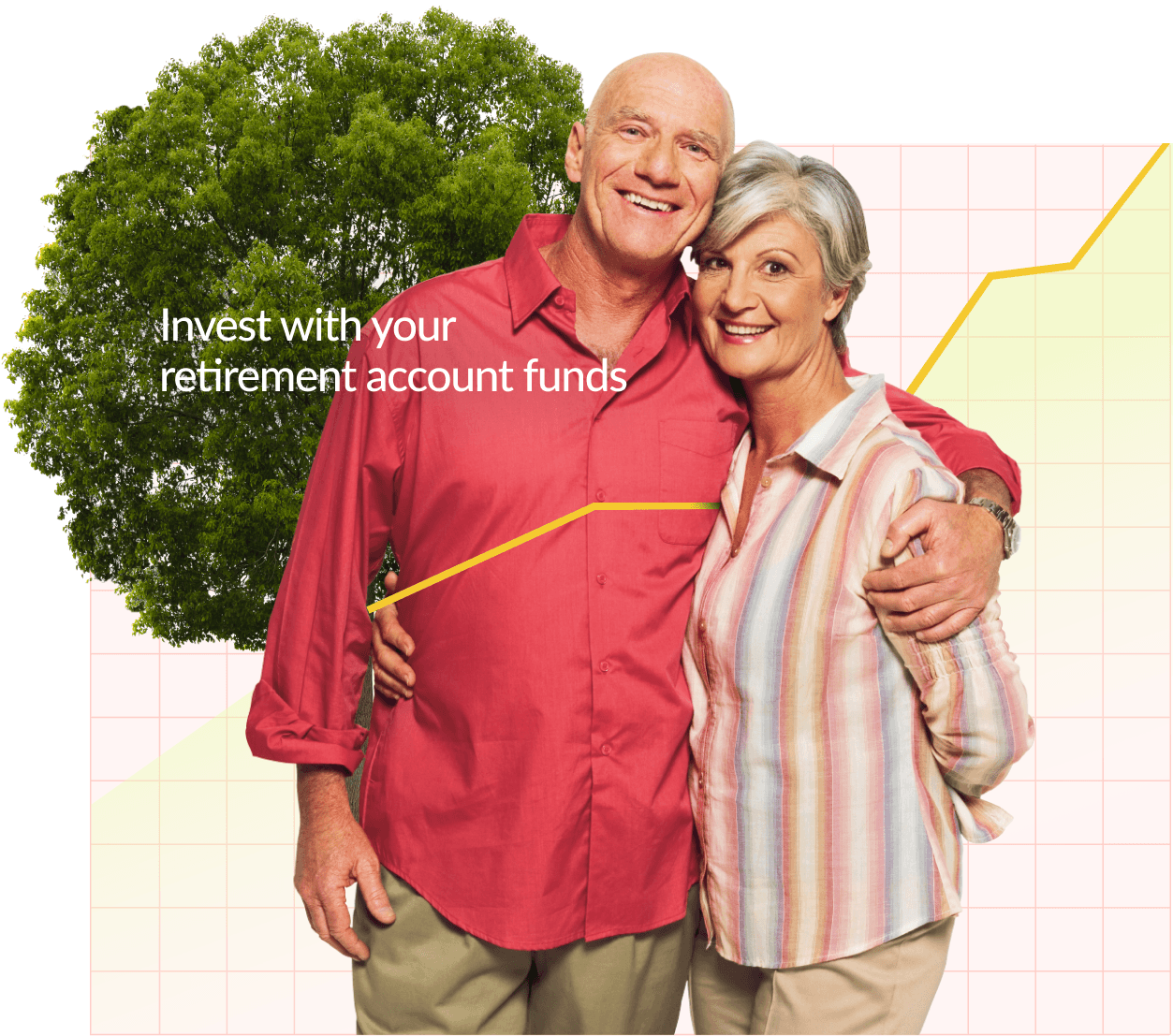 Individual Retirement Account